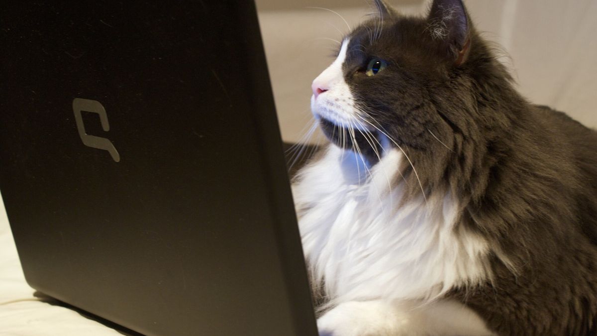A person using a laptop similar to the Lenovo IdeaPad Slim 3 for daily browsing